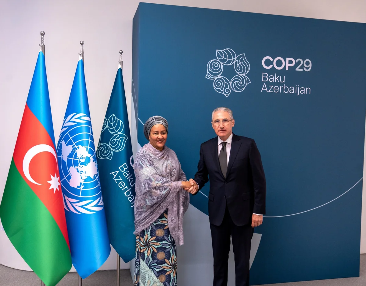 COP29-un prezidenti BMT baş katibinin müavini ilə görüşüb