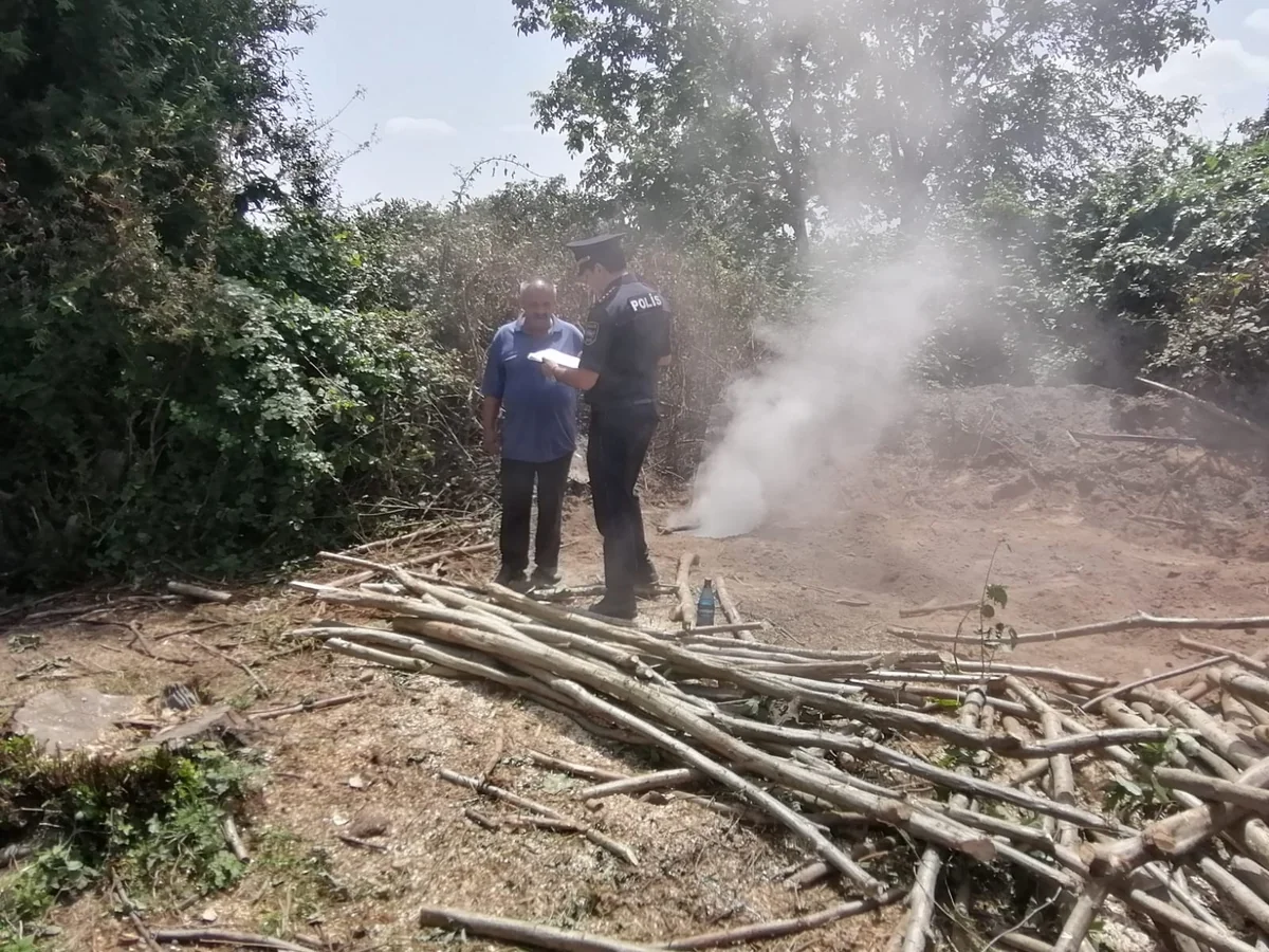 Oğuzda qanunsuz kömür quyuları aşkarlanıb 