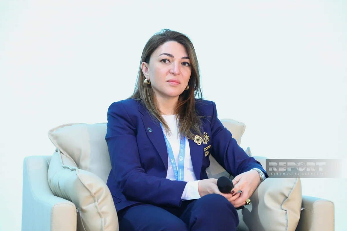 Ayan Najaf: Decarbonization efforts hampered by lack of standardization