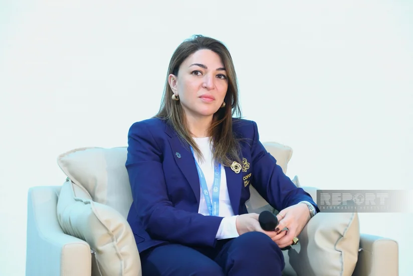 Ayan Nəcəf: “Dekarbonizasiya ilə bağlı problem standartlaşdırmanın olmaması ilə bağlıdır”