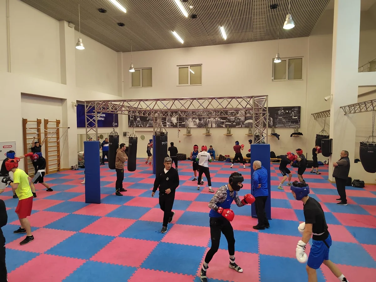 Qazaxıstan, Özbəkistan və Fransanın boks milliləri Azərbaycandadırlar