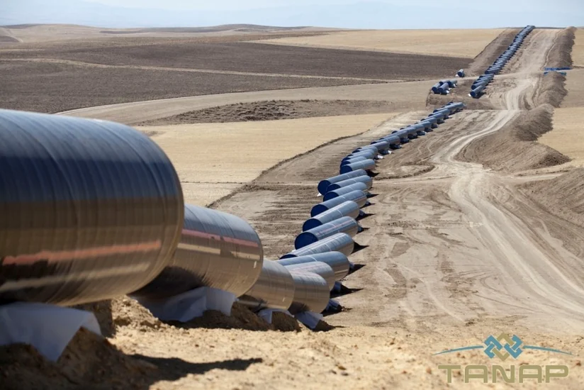 Глава GOGC: Грузия приобрела международное значение благодаря TANAP