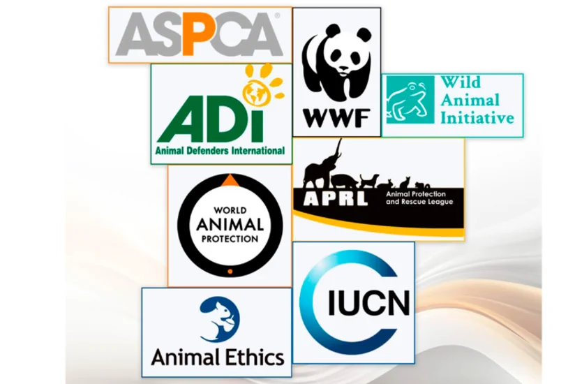 Appeal sent to international organizations over harm to wildlife caused by landmines in Azerbaijan’s liberated territories