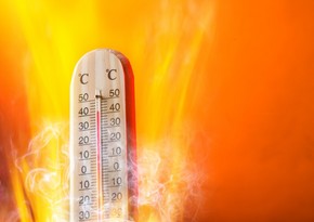 Umayra Tağıyeva: 16 gündür havanın maksimal temperaturu 35 dərəcədən yüksəkdir