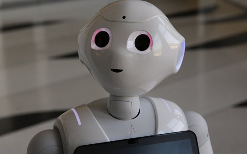 Dünyanın ilk robot-satıcısı işə başlayandan bir həftə sonra qovulub