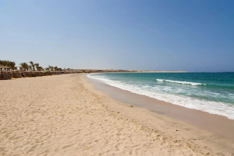 Tourist killed in shark attack in Egypt's Marsa Alam resort