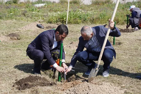 Qala Dövlət Tarix-Etnoqrafiya Qoruğunda xüsusi ağacəkmə aksiyası keçirilib