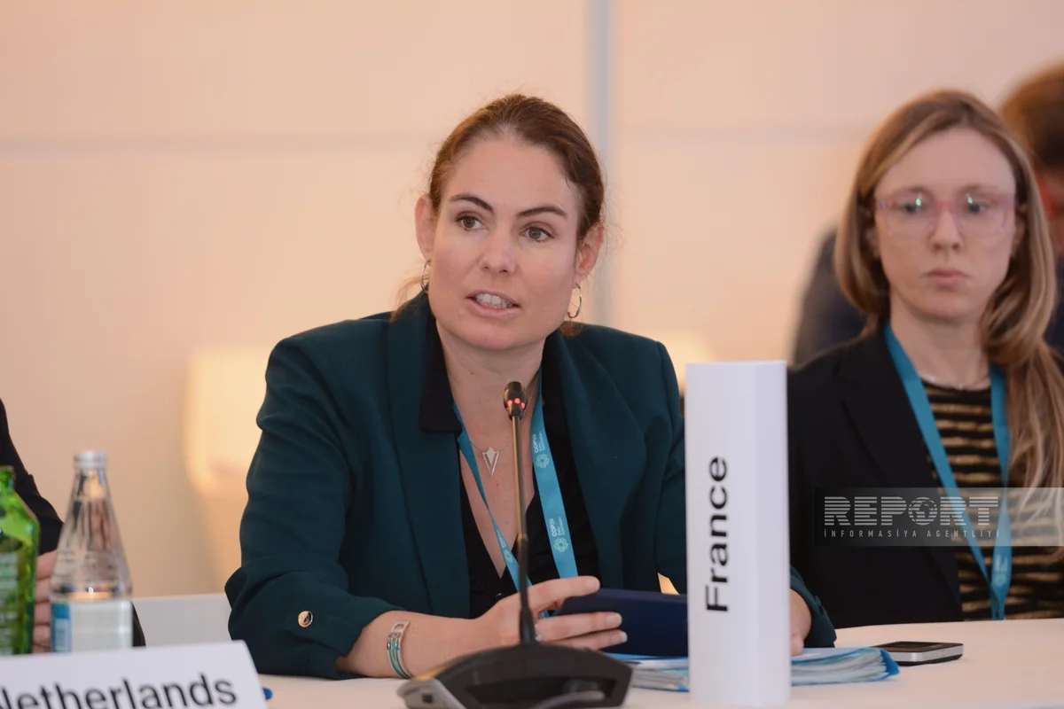 French official: Paris hopes to shape future climate finance in a pragmatic way