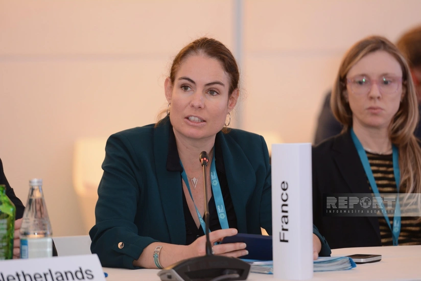 Министр энергетики Франции: Надеемся сформировать прагматичное климатическое финансирование