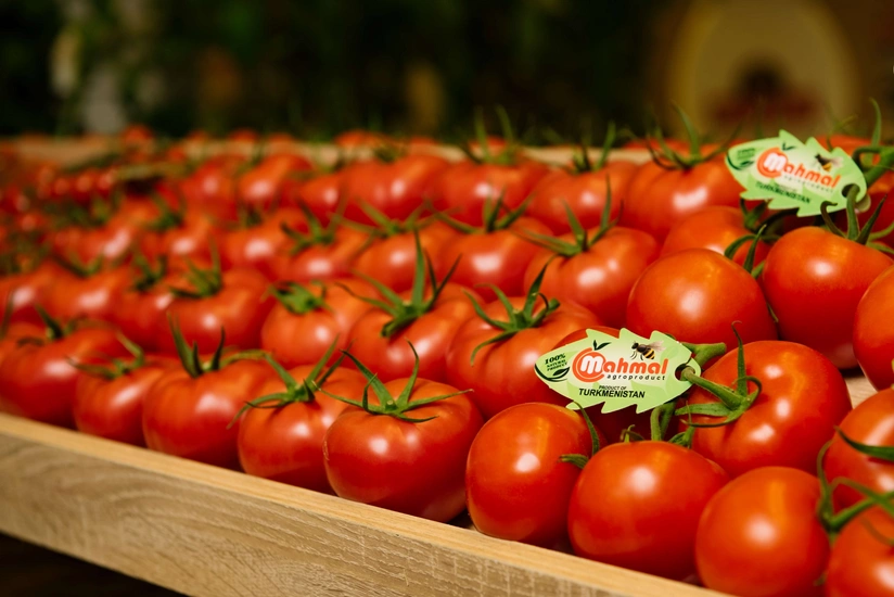 Turkmen tomatoes enter Austrian market