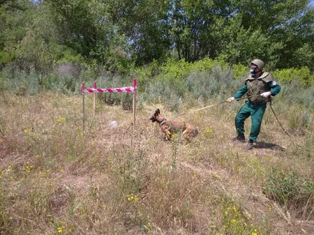 ANAMA mayda 285 partlamamış hərbi sursat zərərsizləşdirib