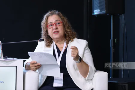 Azerbaijan’s Lachin hosts panel session on women's role in urban development