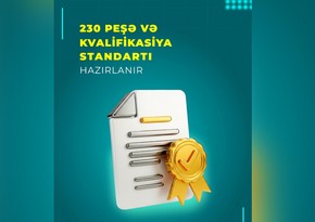 İlin sonunadək 200-dən çox peşə və kvalifikasiya standartı təsdiqlənəcək
