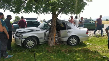 Oğuzda avtomobil ağaca çırpılıb, sürücü ağır xəsarət alıb