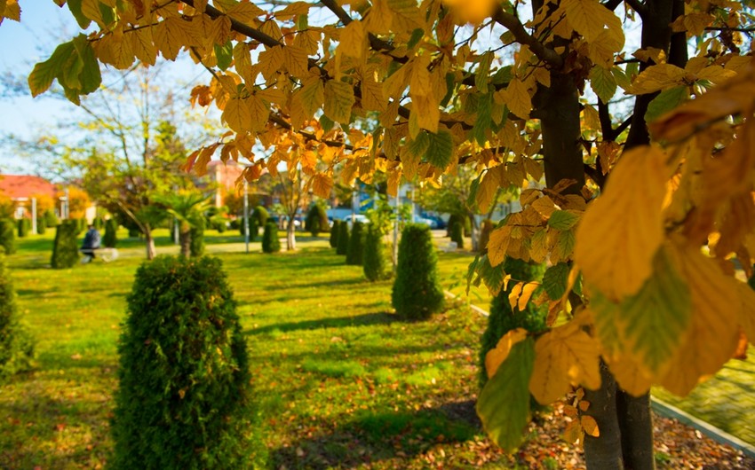 Weather forecast for tomorrow in Azerbaijan announced