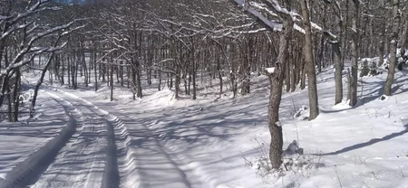 Azərbaycan parklarının qış görüntüləri - FOTOREPORTAJ