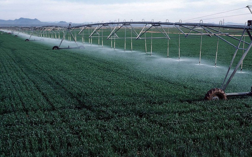 Azerbaijan starts importing irrigation devices from Belgium, Saudi Arabia