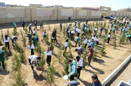 Bakıda Anım Gününə həsr edilən ağacəkmə aksiyası keçirilib