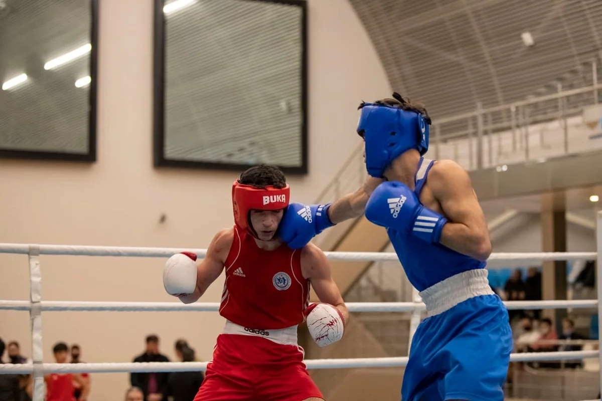 Boks üzrə Azərbaycan birinciliyində finalçılar bəlli olub