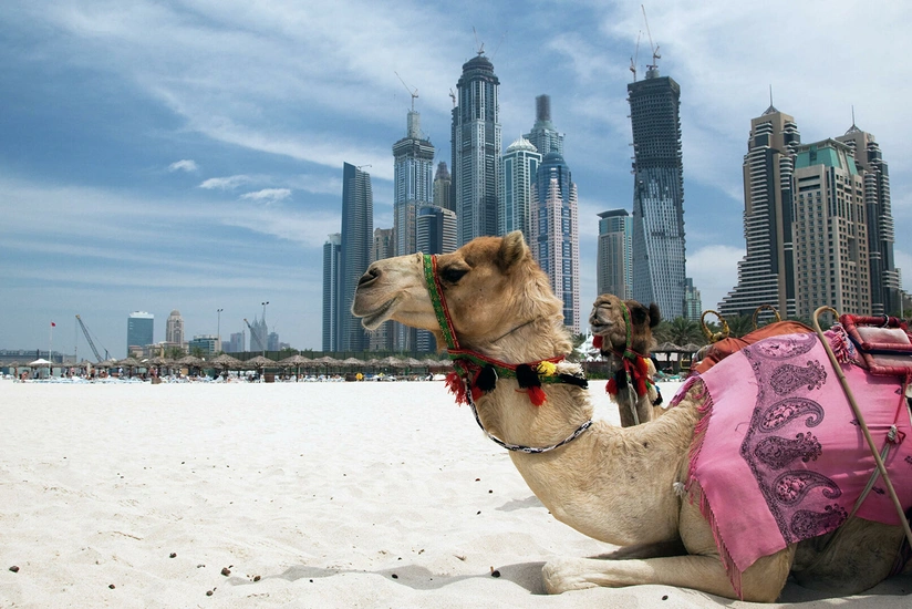 Dubay hökuməti yeni məhdudiyyətlər tətbiq etdi