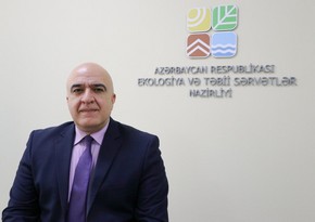 Qusarda ağacların kəsilməsi ilə bağlı araşdırma aparılır