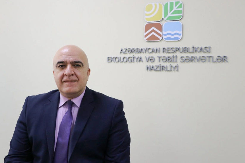 Qusarda ağacların kəsilməsi ilə bağlı araşdırma aparılır