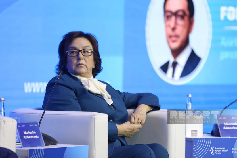 Məleykə Abbaszadə: Kimin bilik və bacarığı varsa, istənilən ölkədə iş yeri tapa bilər