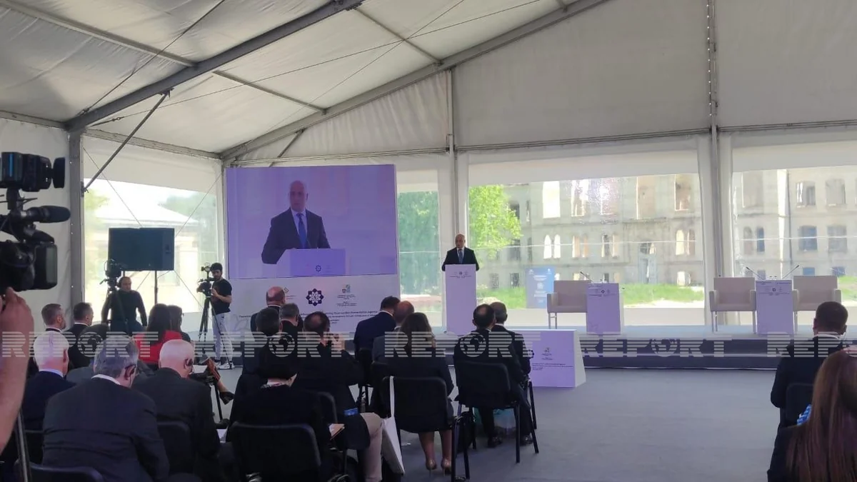 Azerbaijan determined to establish peace - Minister