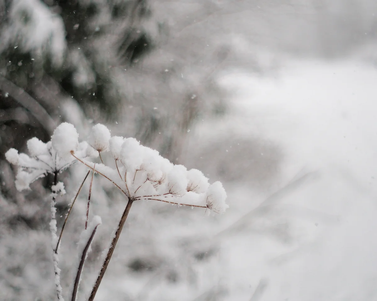 Sabaha olan hava proqnozu açıqlanıb