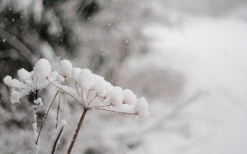 Weather forecast for tomorrow in Azerbaijan announced