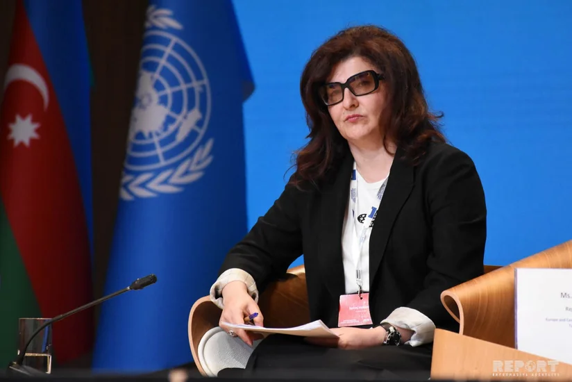Nazir müavini: Azərbaycanda Dayanıqlı İnkişaf Məqsədlərinin icrası üçün siyasi iradə mövcuddur