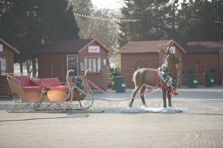 Bakı yeni ilin ilk günündə