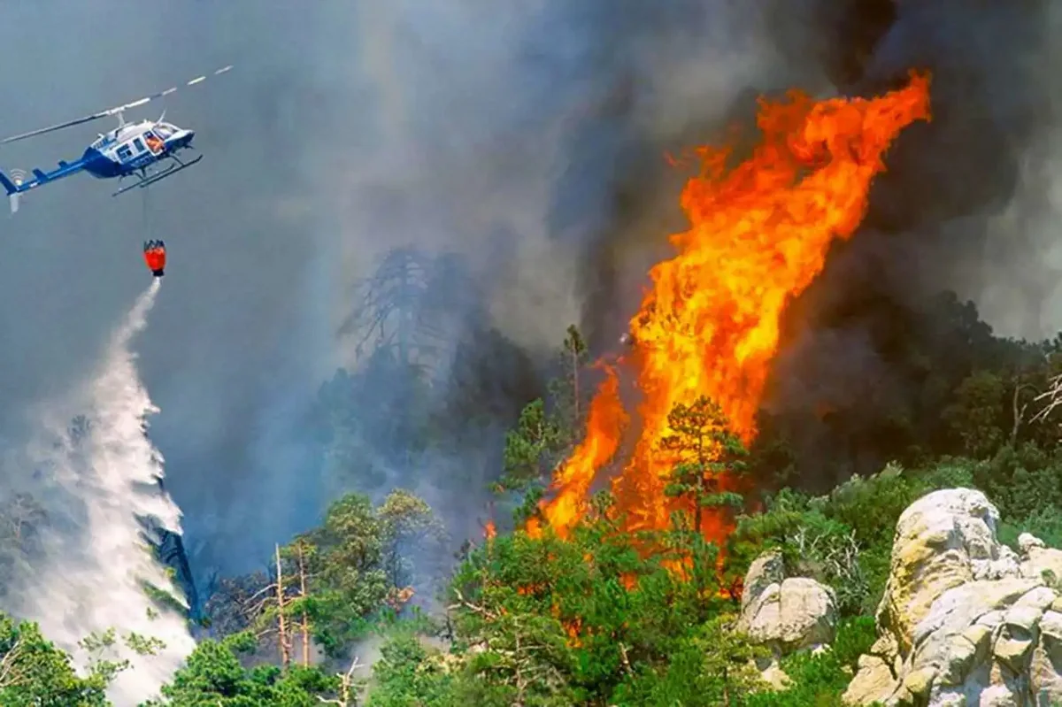 В Измире вспыхнул пожар в лесной зоне