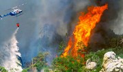 В Измире вспыхнул пожар в лесной зоне