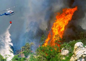 İzmirdə meşə yanır, əraziyə təyyarə və helikopterlər cəlb olunub