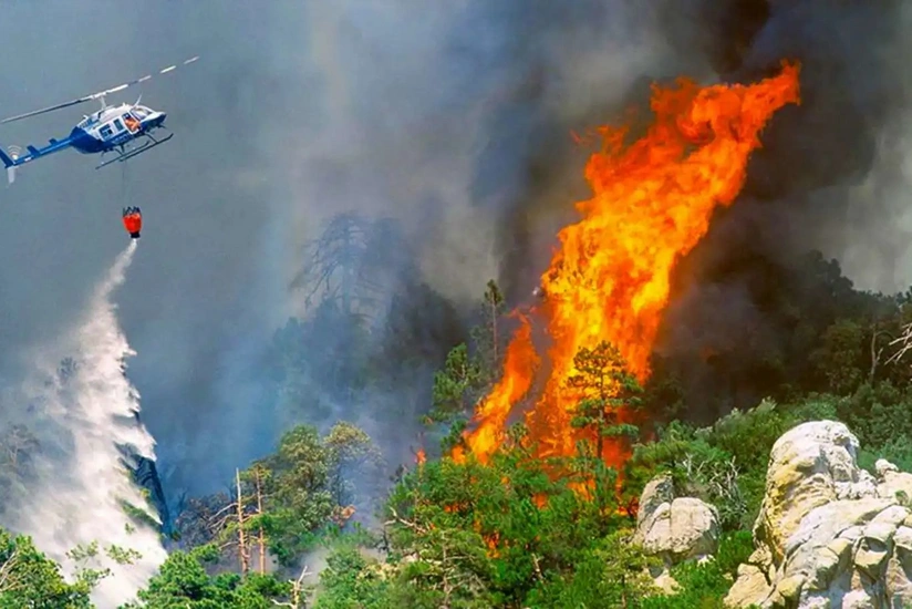 В Измире вспыхнул пожар в лесной зоне