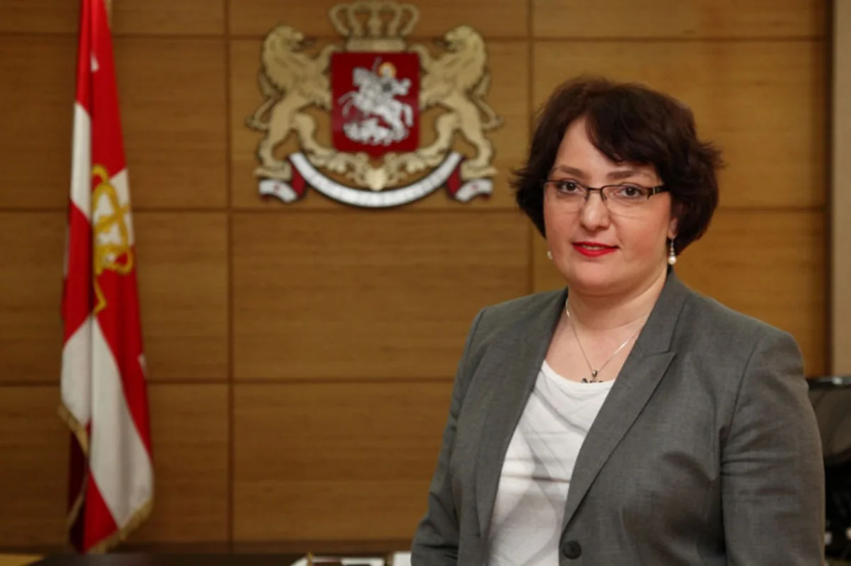 Gürcüstanın müdafiə naziri sabah Azərbaycana rəsmi səfərə gəlir