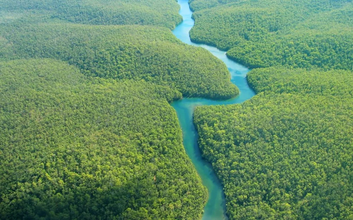Climate change main driver of exceptional drought in highly vulnerable Amazon River Basin
