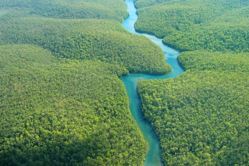 Climate change main driver of exceptional drought in highly vulnerable Amazon River Basin