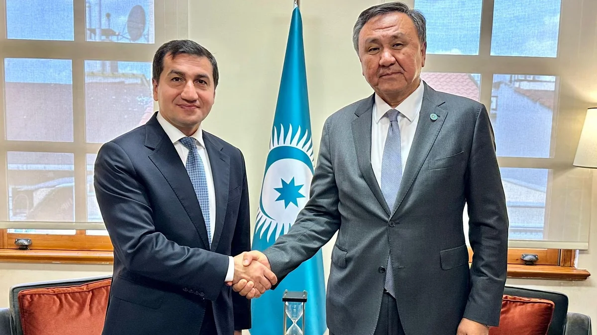 Azərbaycan Prezidentinin köməkçisi TDT-nin baş katibi ilə görüşüb