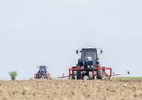 Azərbaycan Gürcüstandan yük maşını və traktor idxalını artırıb