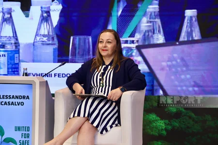 International Demining Conference discusses mobilization of resources for green future