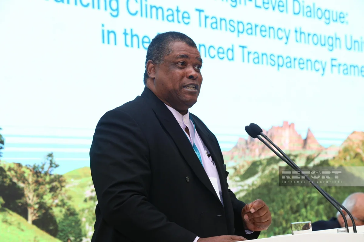 BMT nümayəndəsi: İqlim problemlərindən insanların başa düşdüyü dildə danışmaq lazımdır