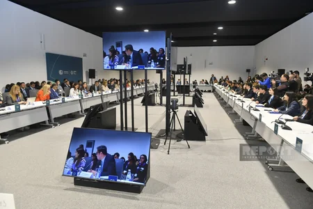 В рамках COP29 состоялся круглый стол высокого уровня по вопросам детей, молодежи и климатических действий