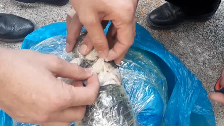 Polis narkotacirlərə qarşı əməliyyat keçirdi