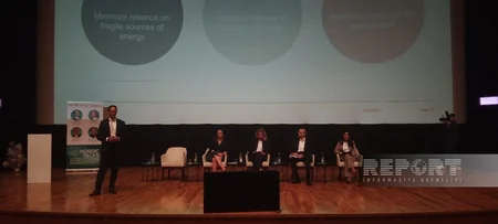 Bakıda Şimali Avropa ölkələrinin inkişafının “yaşıl modeli” üzrə müzakirələrin birinci günü baş tutub
