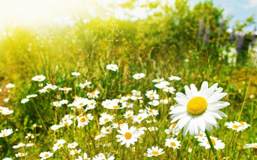 Tomorrow temperature in Azerbaijan will rise to 29°C