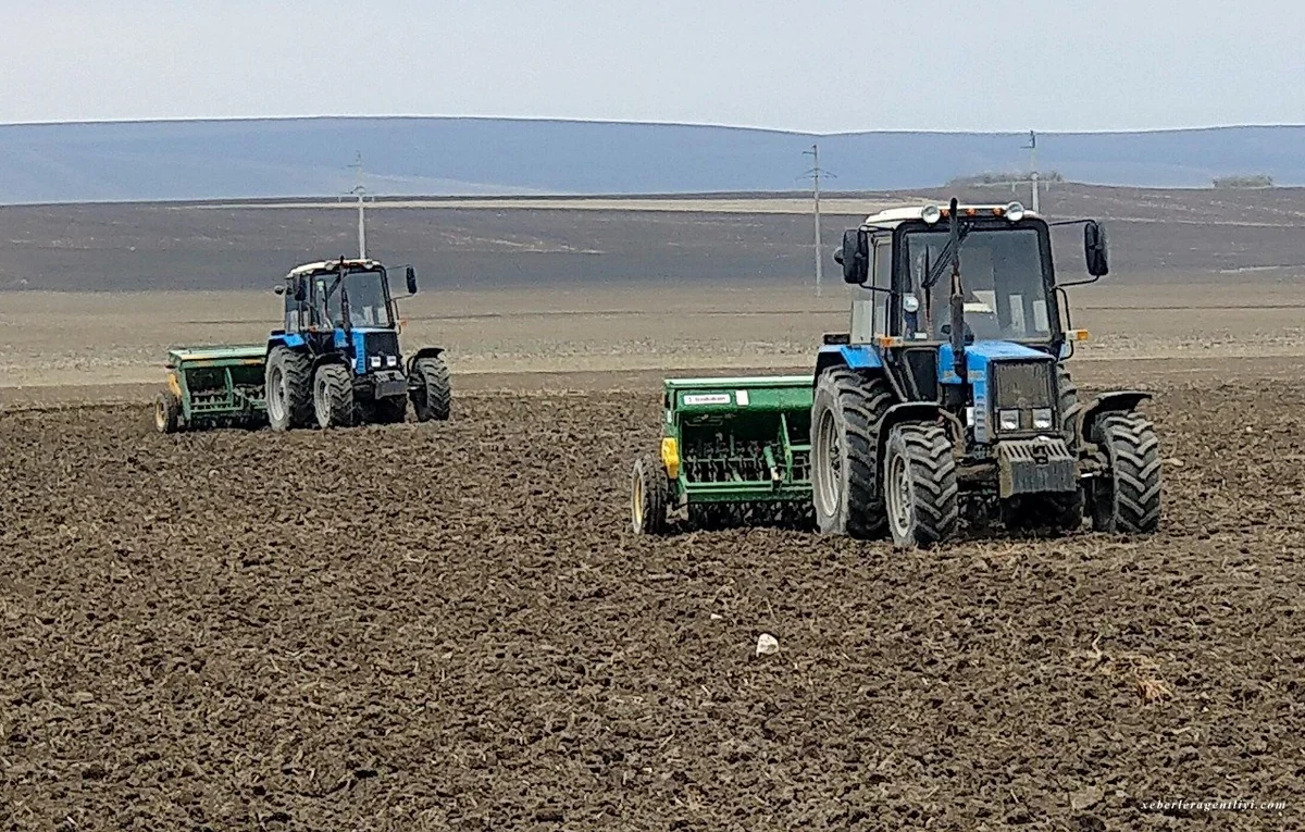Növbət il üçün payızlıq səpin başa çatmaq üzrədir