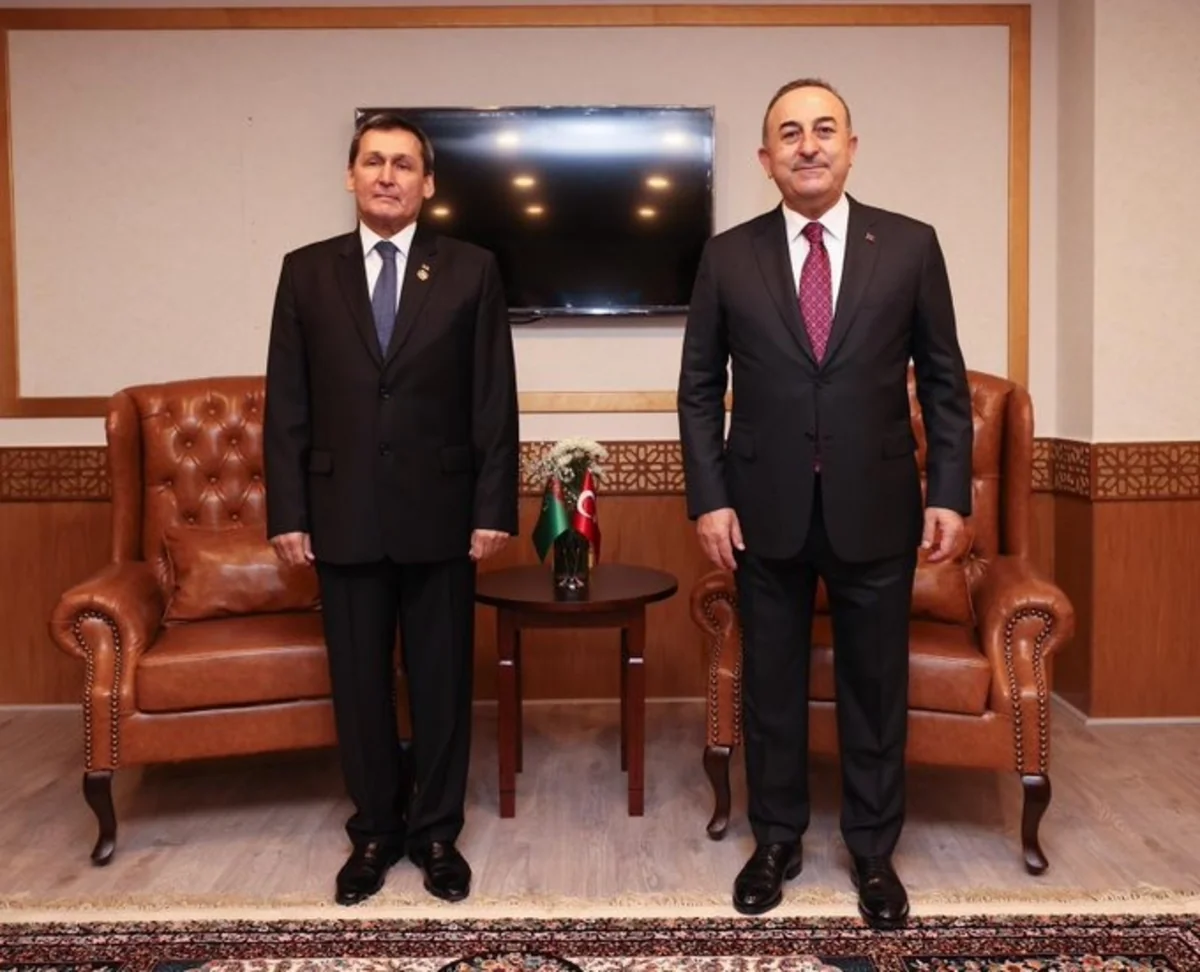 Mevlud Cavusoglu meets with FM of Turkmenistan