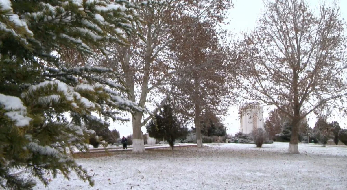 Naxçıvan şəhərinə ilk qar yağıb 